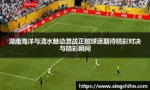 BB贝博官网