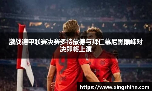 贝博BB官网